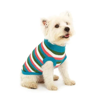 Chaleco para perros