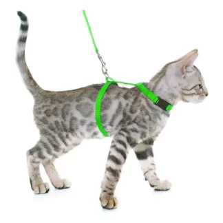 Correa para gatos